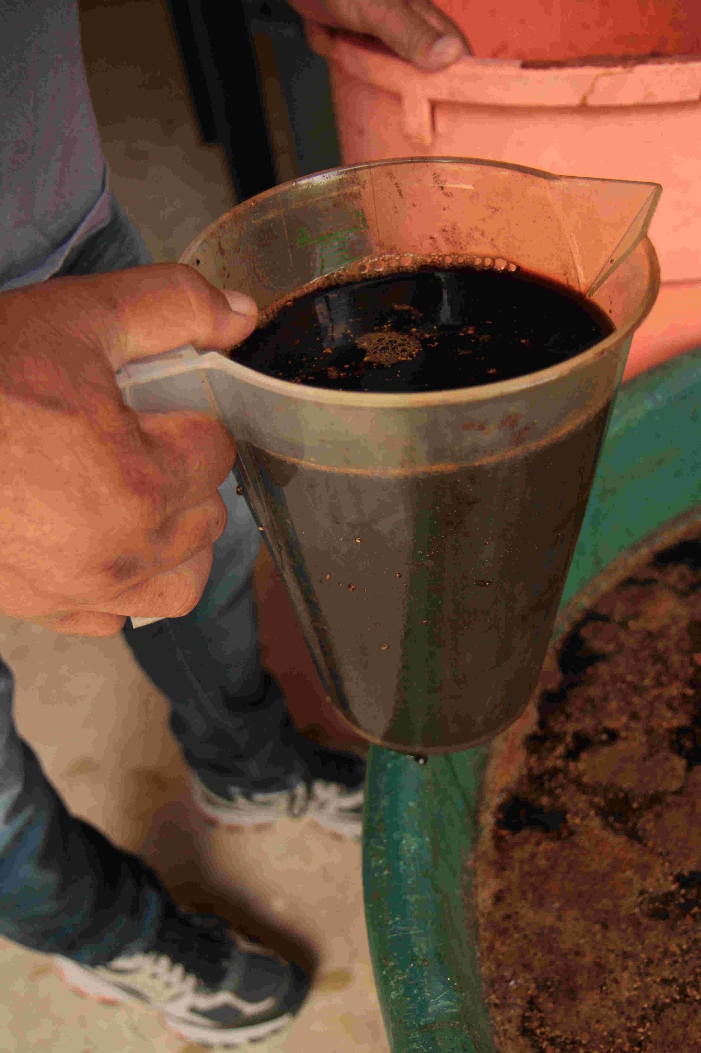 Hand holding a jug of worm tea