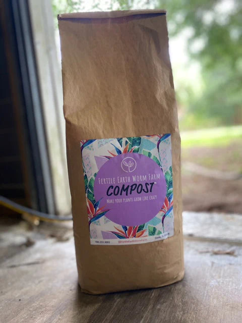 Composting Worms South Florida