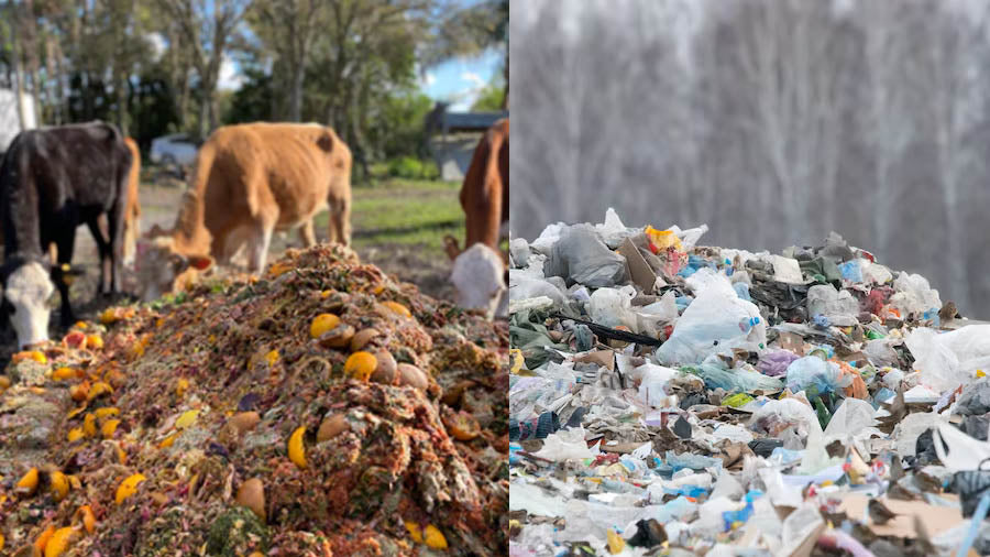 How to Make and Develop a Waste Management Plan for Your Business