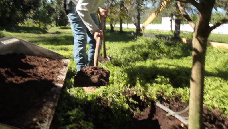 Organic Soils, Compost, and Fertilizers