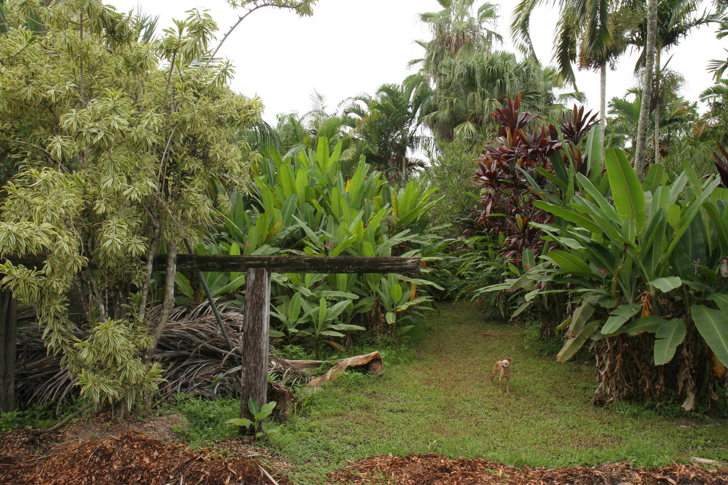 Famous Fertile Earth Living Soil